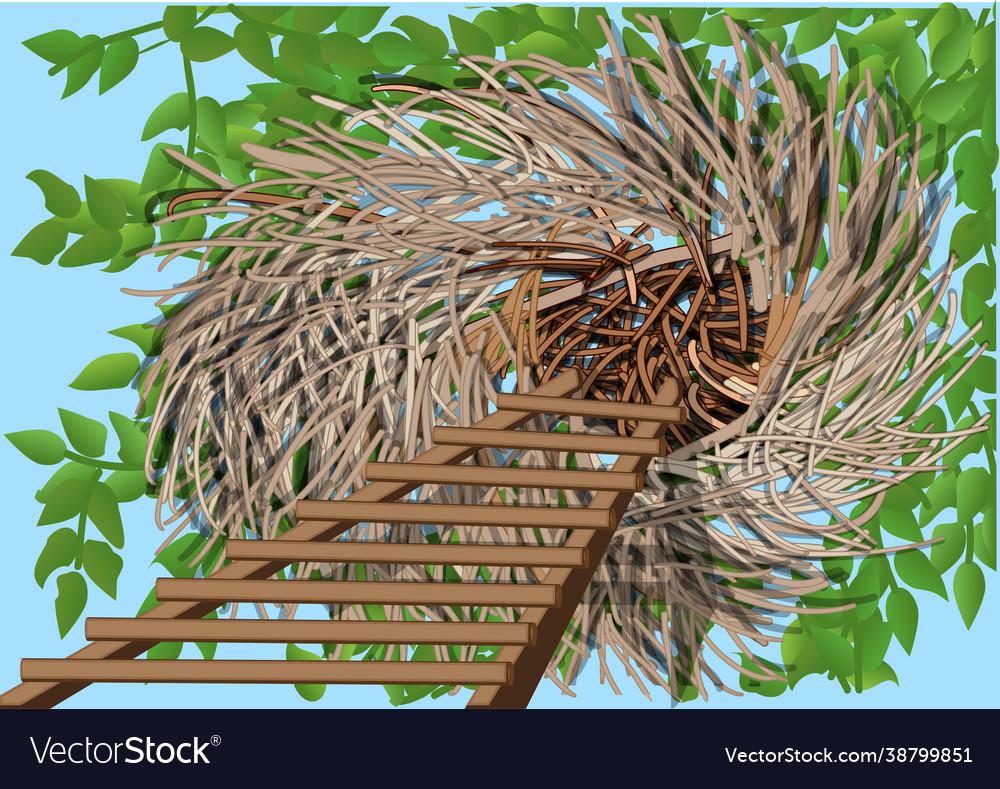Treehouse nest