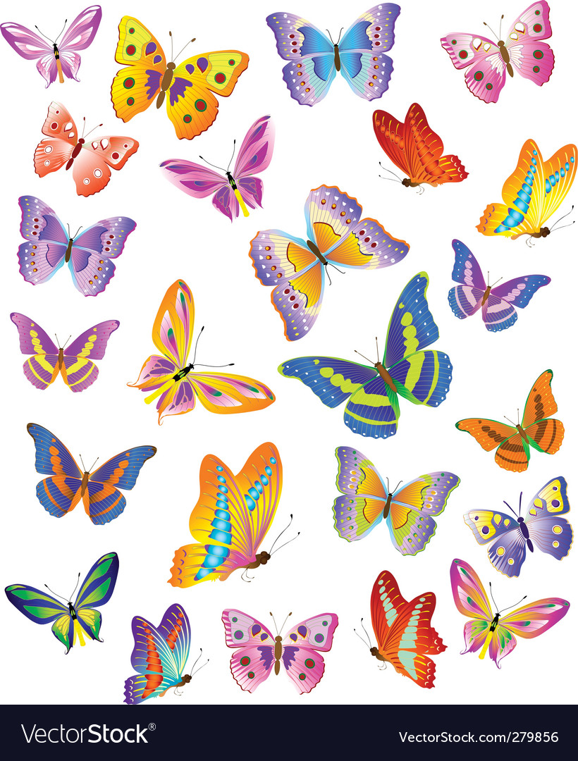 Butterfly Royalty Free Vector Image - VectorStock