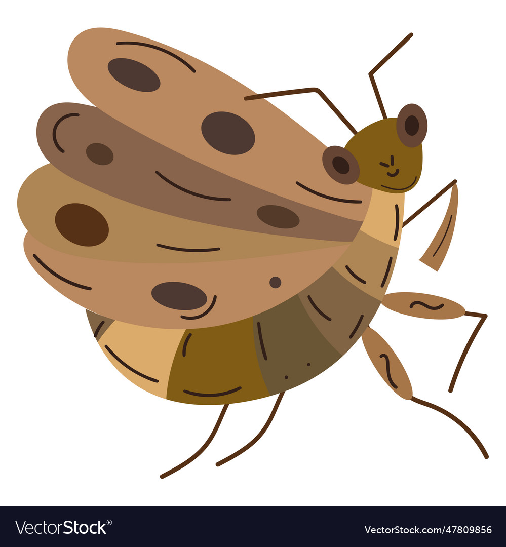 Isolated colored cricket sketch character