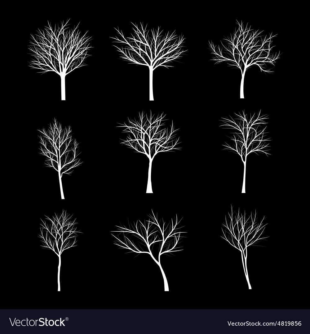 Trees with dead branch