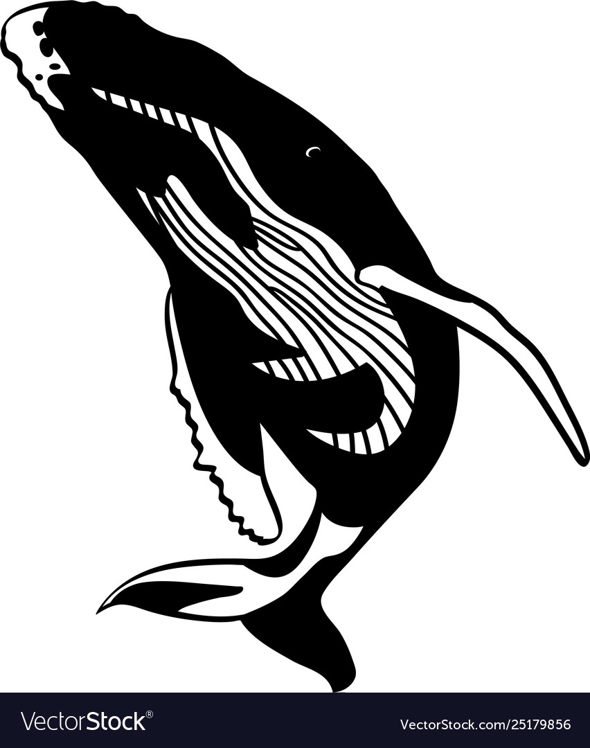 Whale eps Royalty Free Vector Image - VectorStock