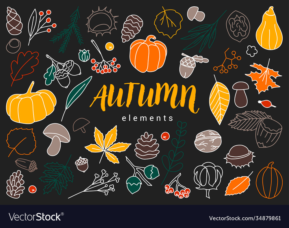 Autumn elements Royalty Free Vector Image - VectorStock