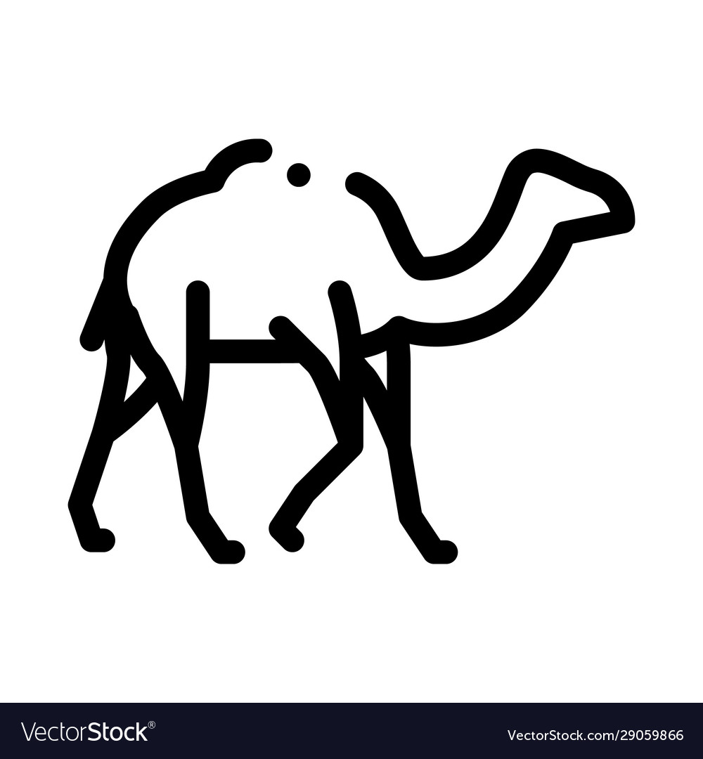 Camel icon outline