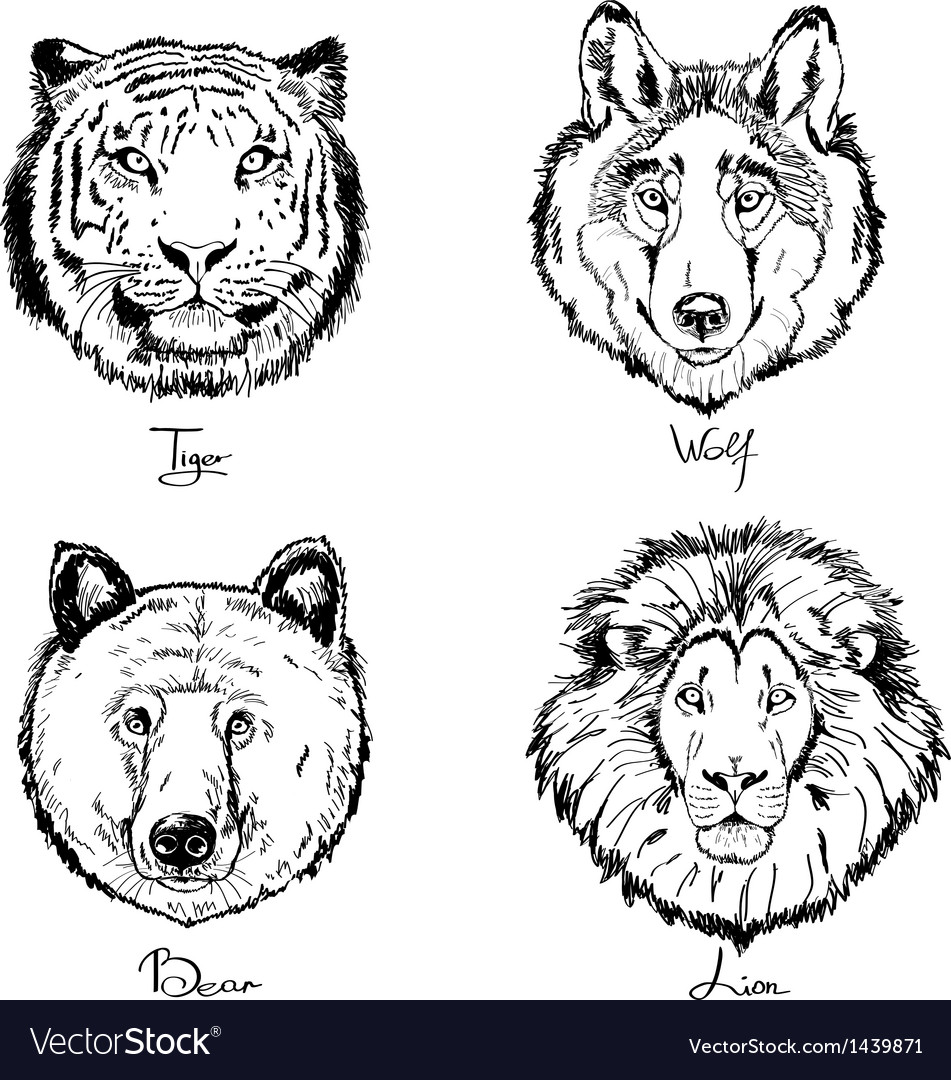 Animals Royalty Free Vector Image - VectorStock
