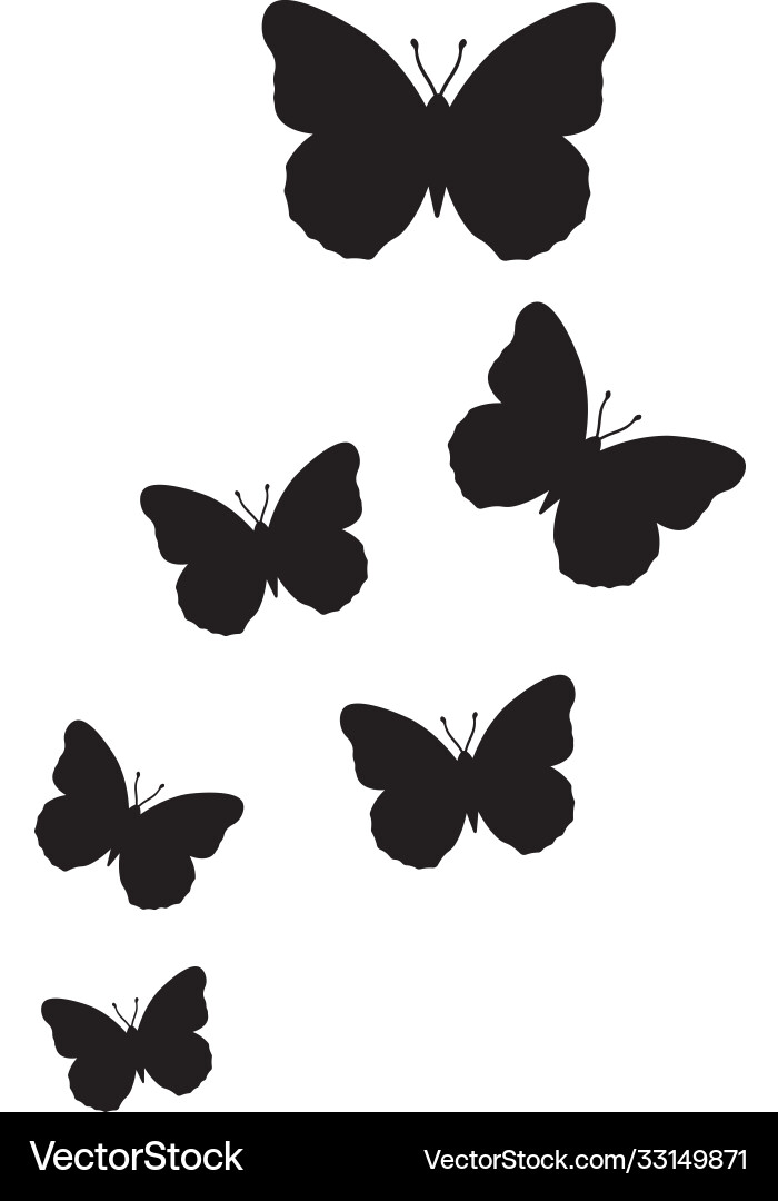 Butterfly fly Royalty Free Vector Image - VectorStock