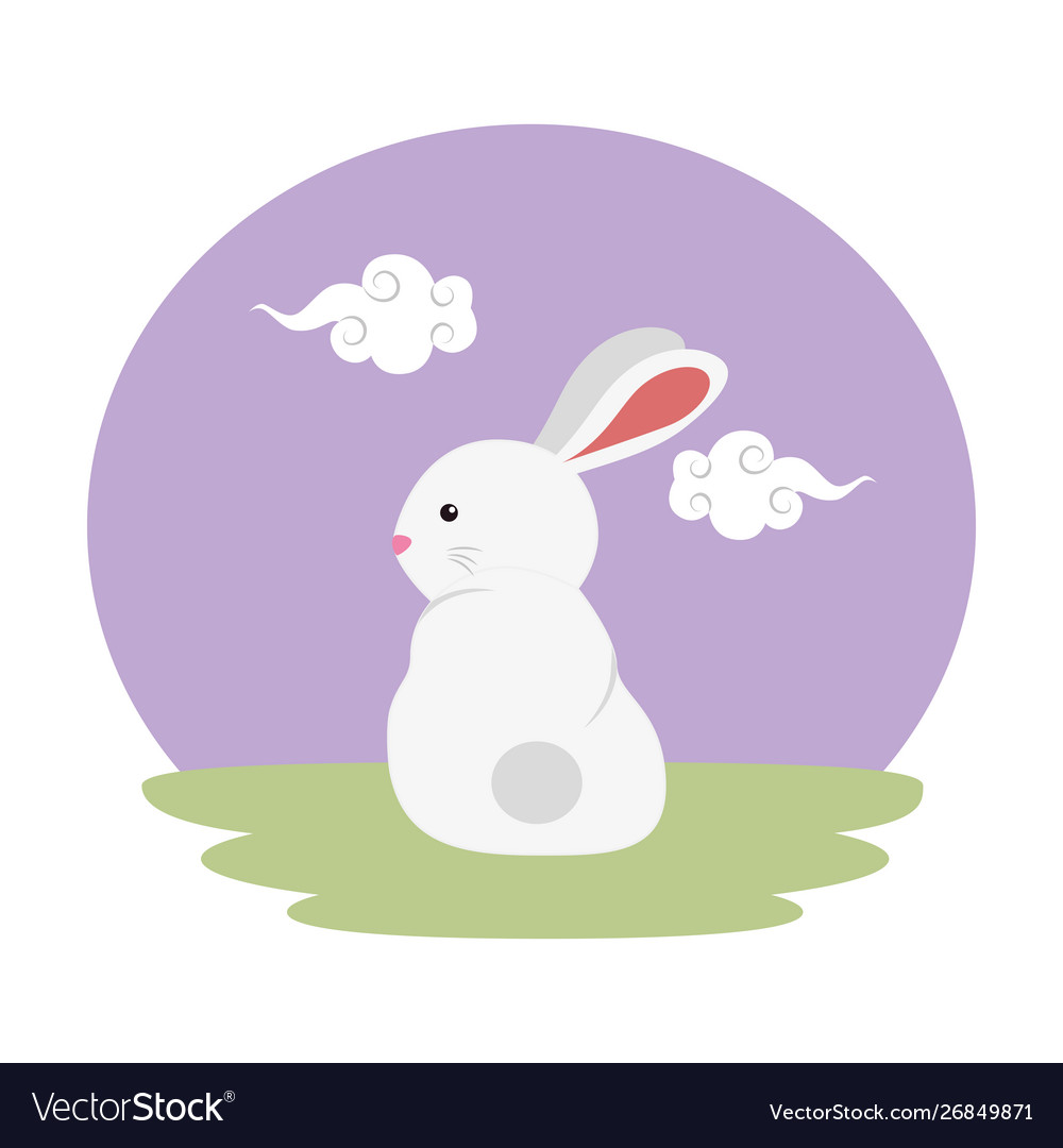 Cute and little rabbit in field character