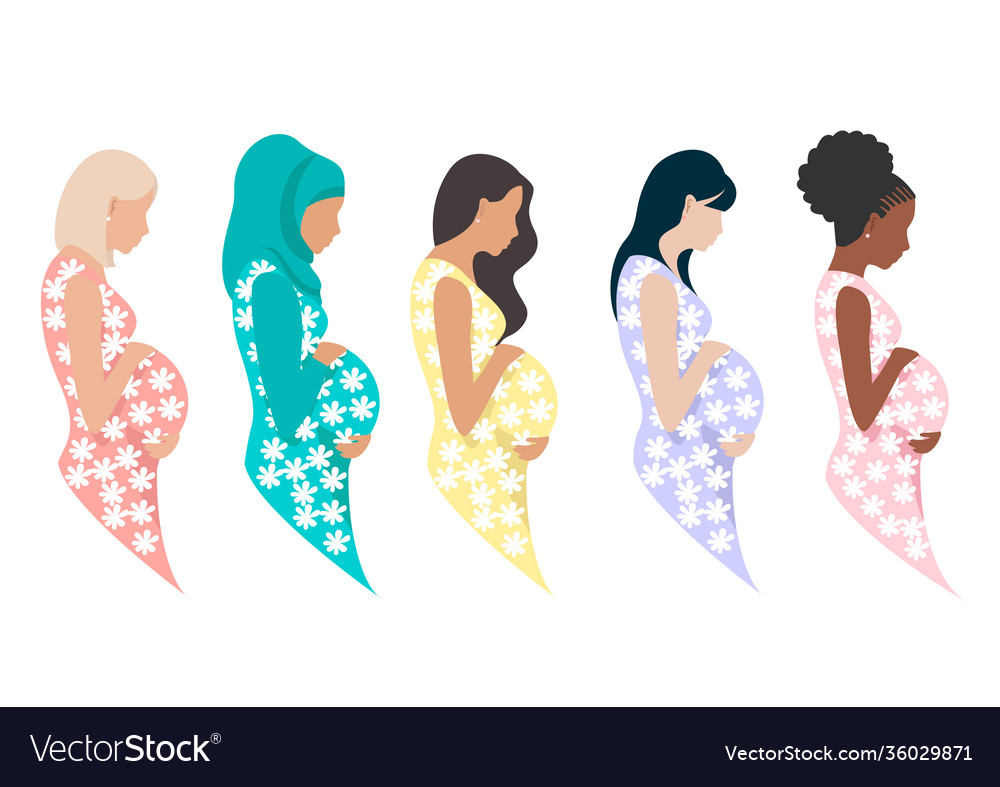 Pregnant Royalty Free Vector Image - VectorStock