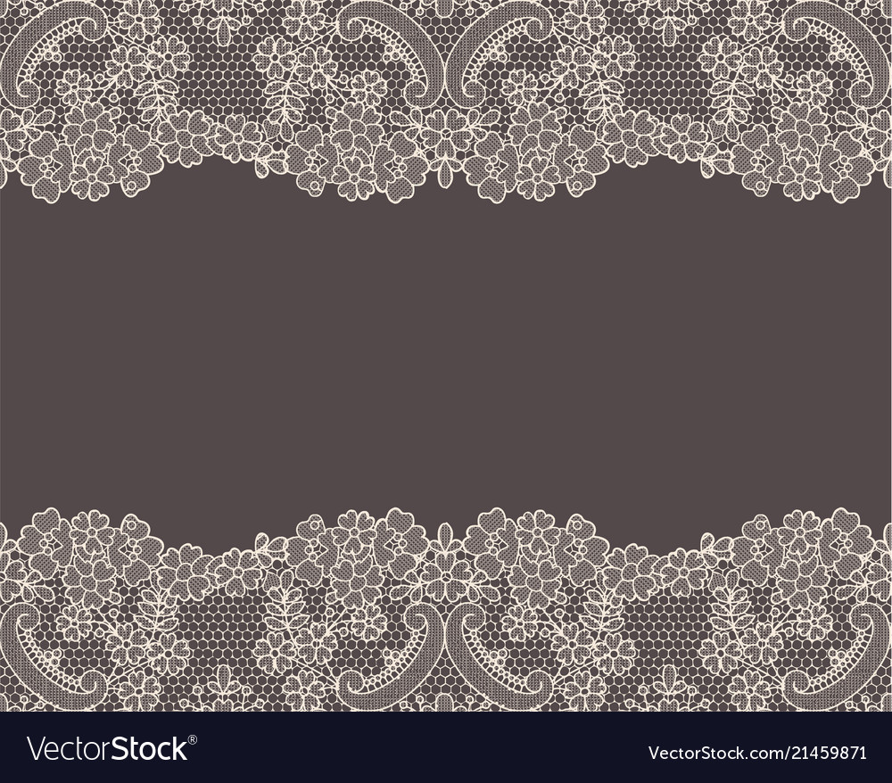 Seamless white lace Royalty Free Vector Image - VectorStock