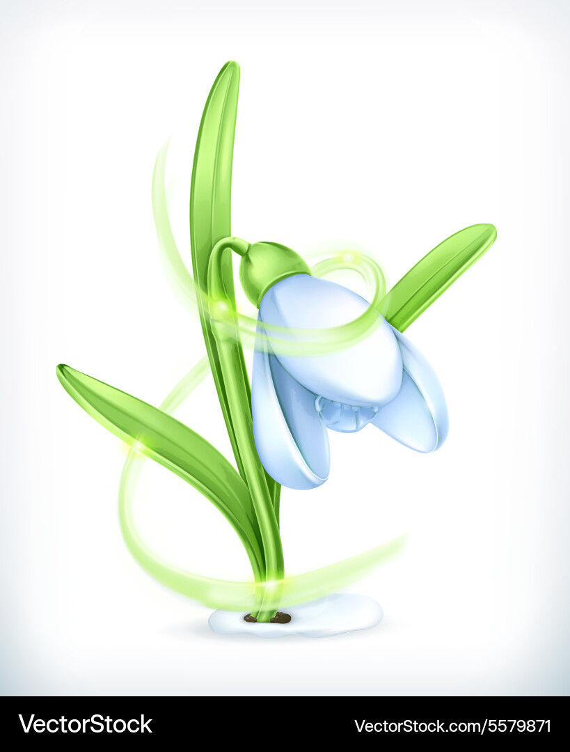 Snowdrop icon Royalty Free Vector Image - VectorStock