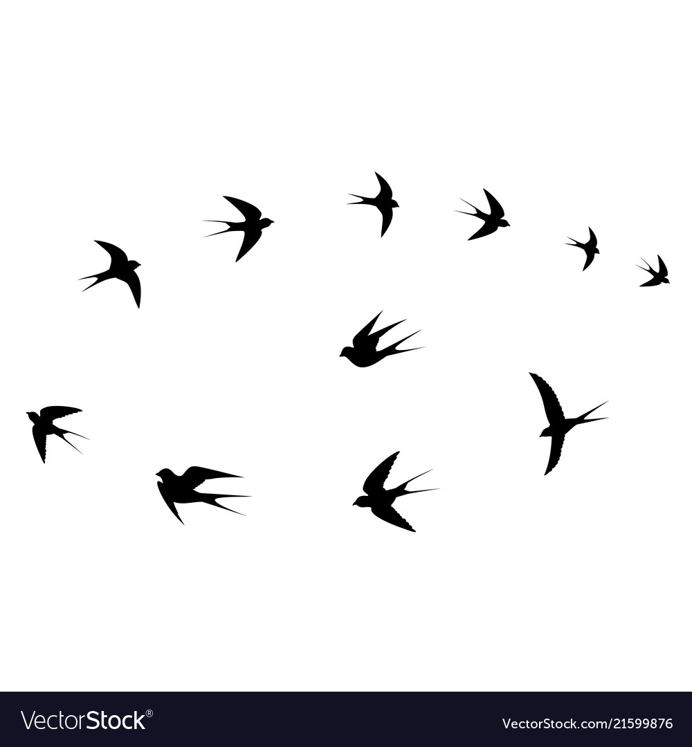 Birds circling in the sky Royalty Free Vector Image