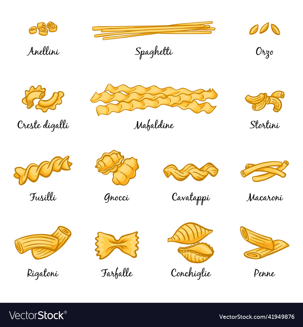 Macaroni spaghetti and others type of italian Vector Image