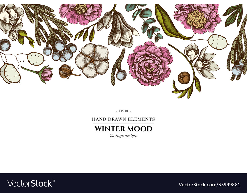Floral design with colored ficus eucalyptus vector image Floral design with colored ficus eucalyptus