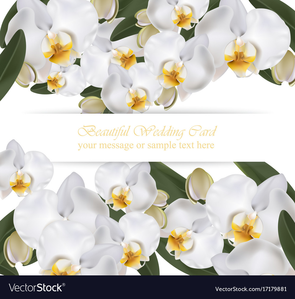 Orchid Blumen Karte Banner Poster realistisch