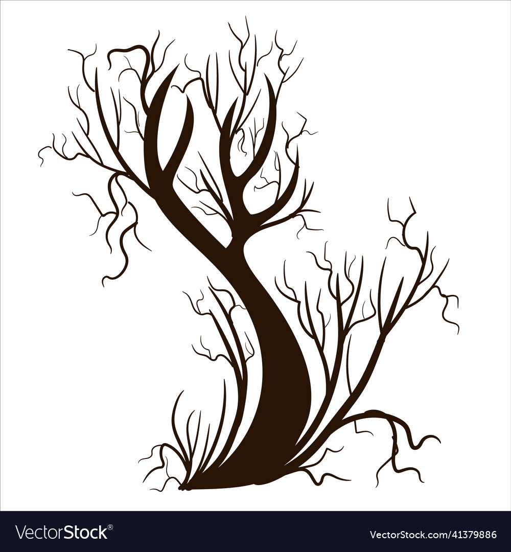 Image isolated on white background tree branch