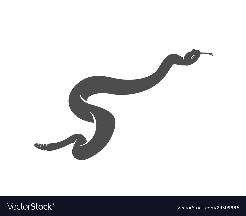 Viper snake logo design animal graphic