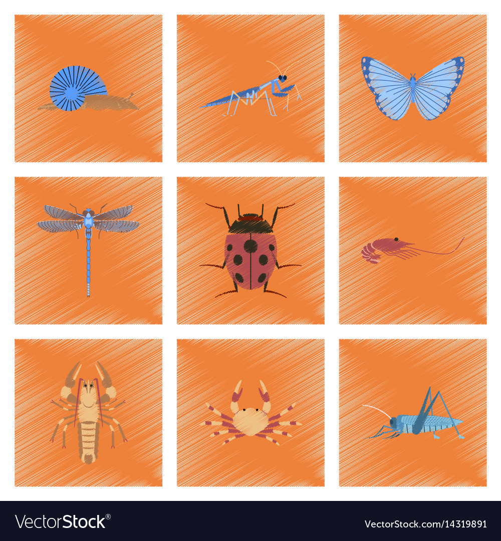 Assembly flat shading style bug snail