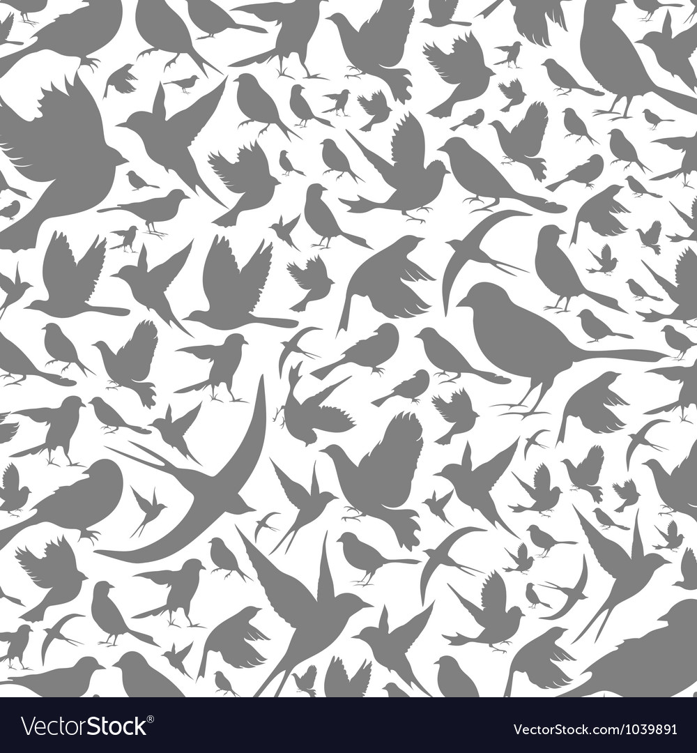 Bird Pattern Background