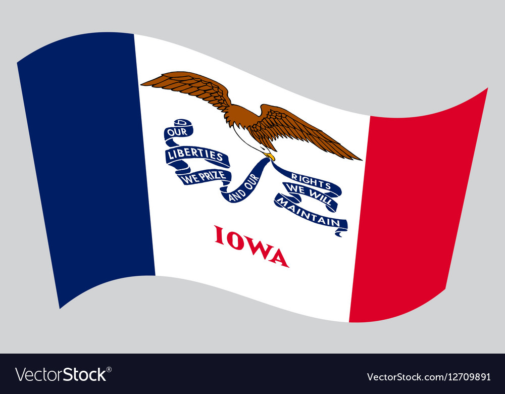 Flag of Iowa waving on gray background Royalty Free Vector