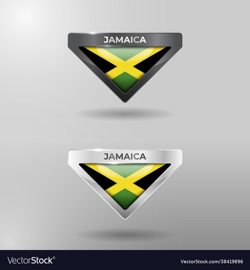 3d label tag and location pointer flag nation Vector Image 3d label tag and location pointer flag nation