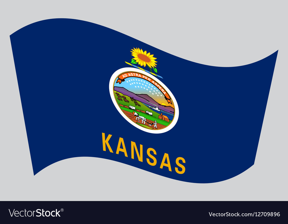 Flag of Kansas waving on gray background Vector Image