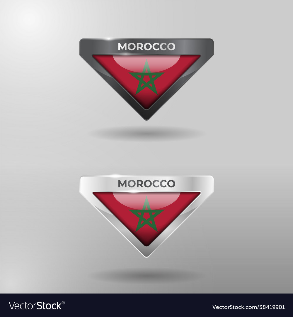 3d label tag and location pointer flag nation Vector Image 3d label tag and location pointer flag nation