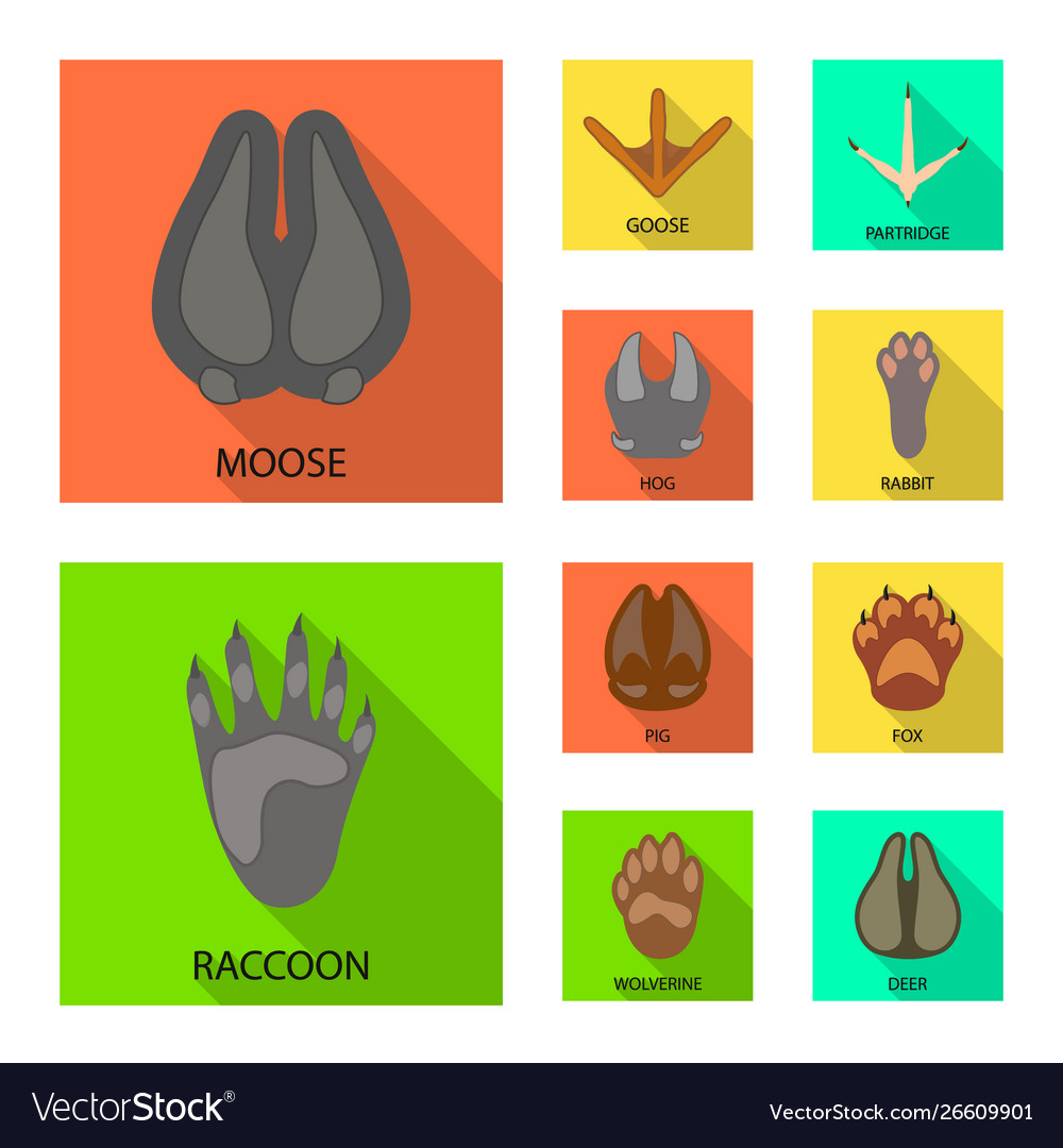 Isolated object step and walk logo set vector image Isolated object step and walk logo set