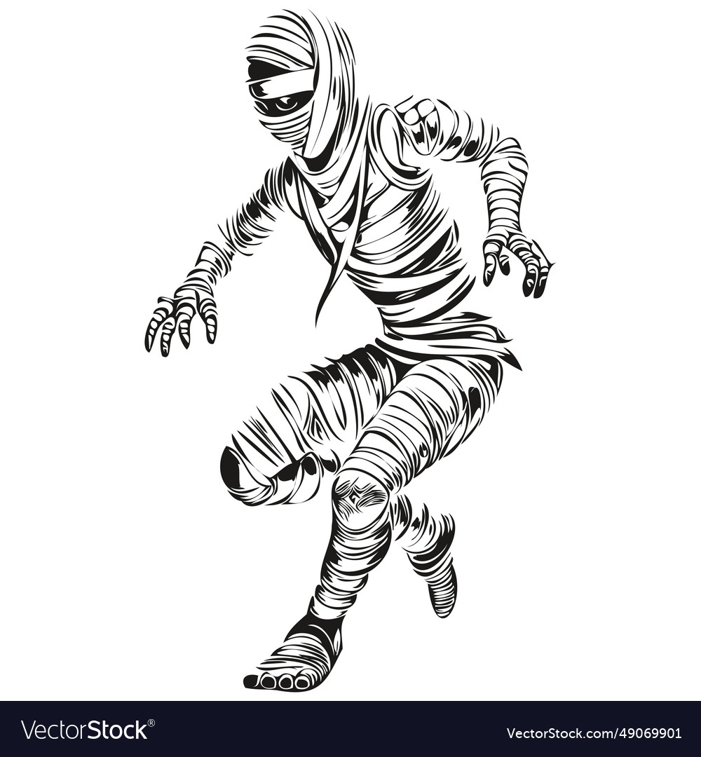 Mummy image Royalty Free Vector Image - VectorStock