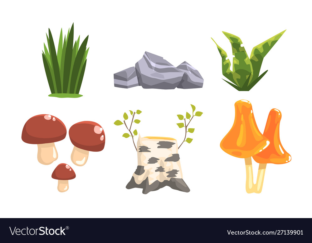 Nature forest landscape elements set plants Vector Image