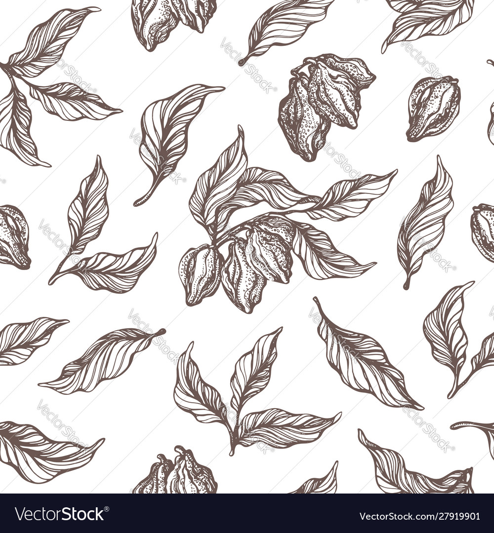 Pattern cocoa sketch