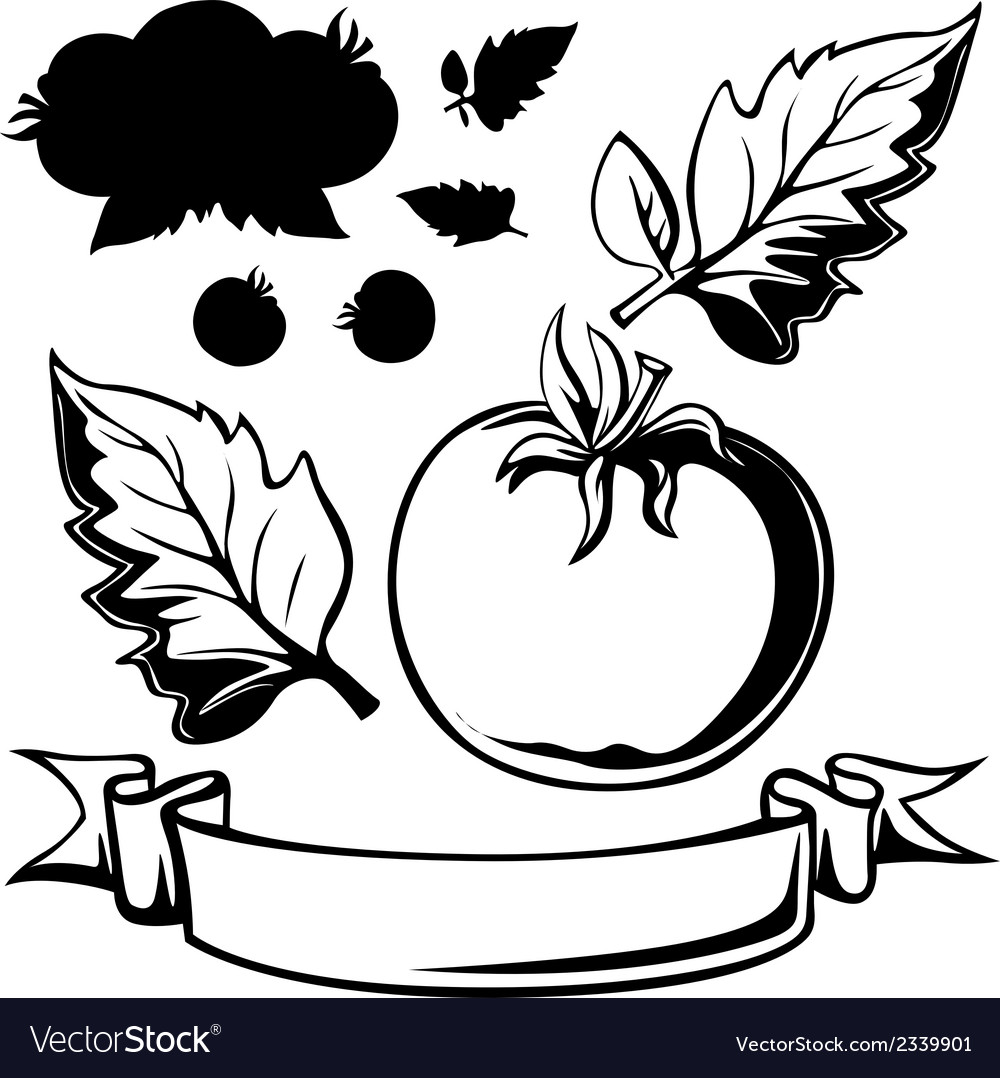 Tomato Tree Tomato Plant Clipart Black And White - Decorating Ideas