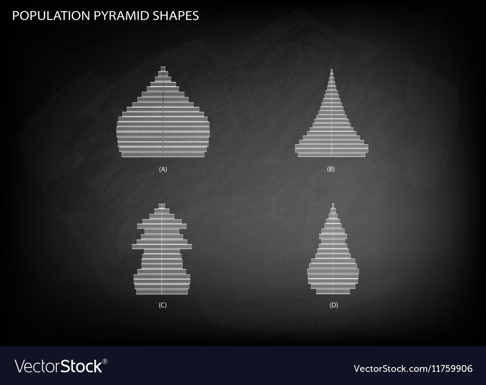 4 types of population pyramids graphs