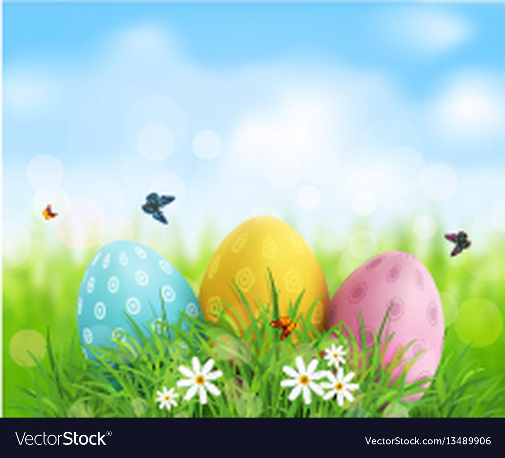 Easter eggs in green grass with white flowers Vector Image