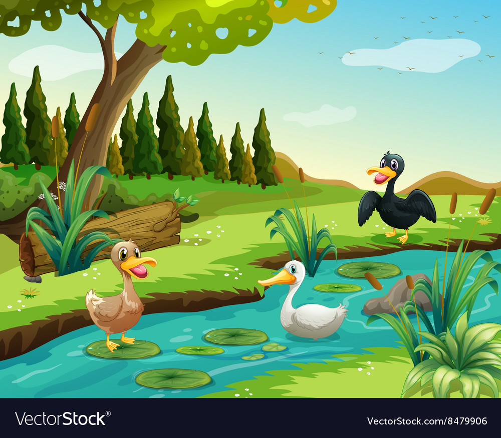 Scene With Three Ducks By The Pond Royalty Free Vector Image