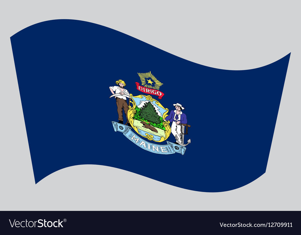 Flag of Maine waving on gray background Royalty Free Vector