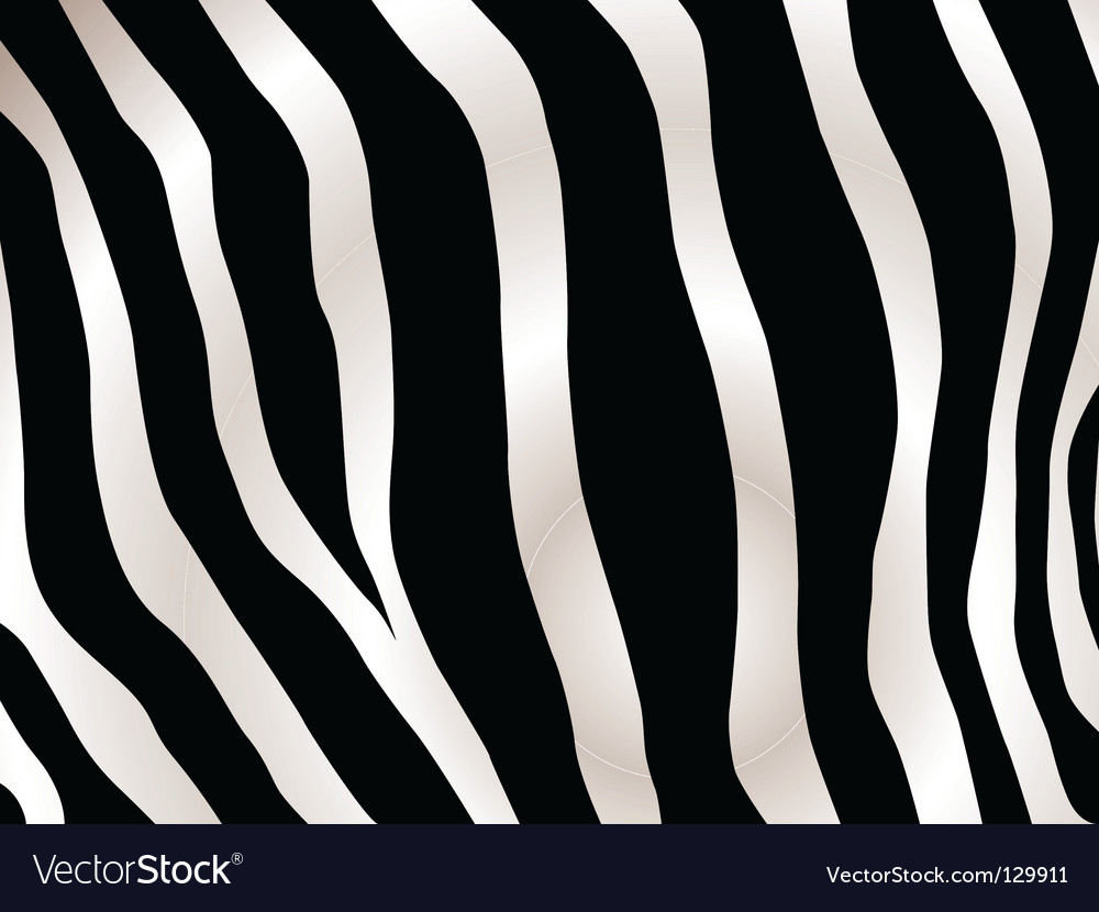 Zebra background Royalty Free Vector Image VectorStock