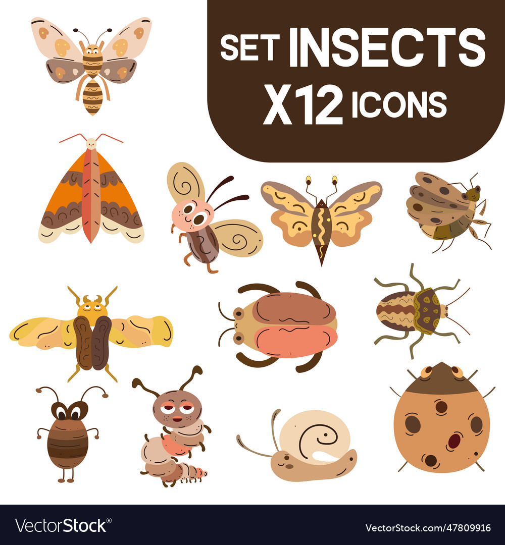 Set of colored cute insect sketch characters