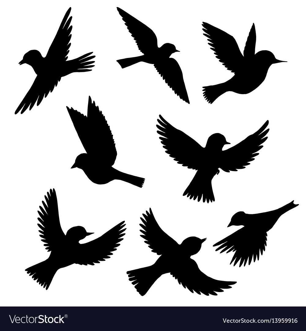 Set of flying birds silhouettes Royalty Free Vector Image