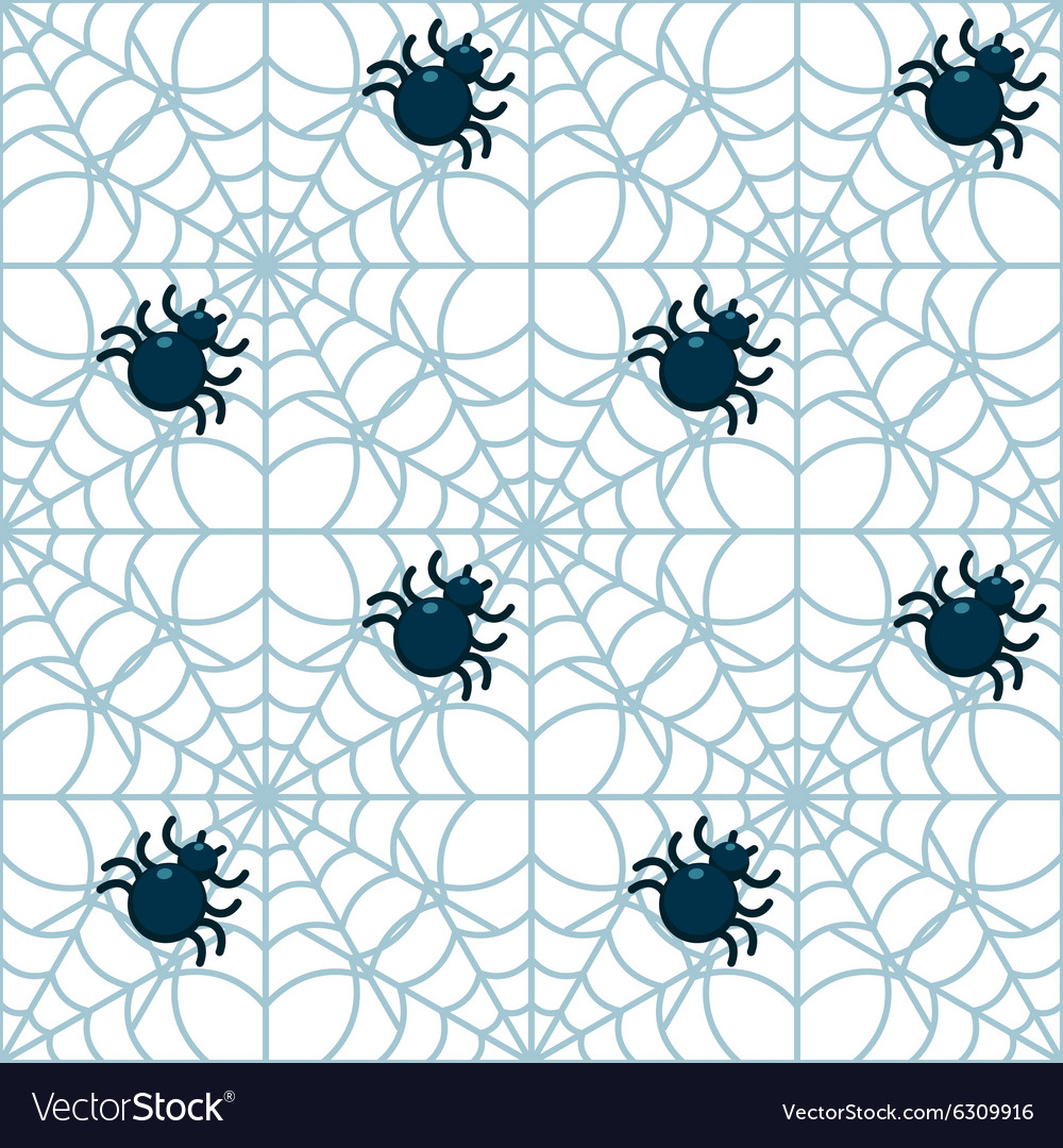 Spider Web Pattern