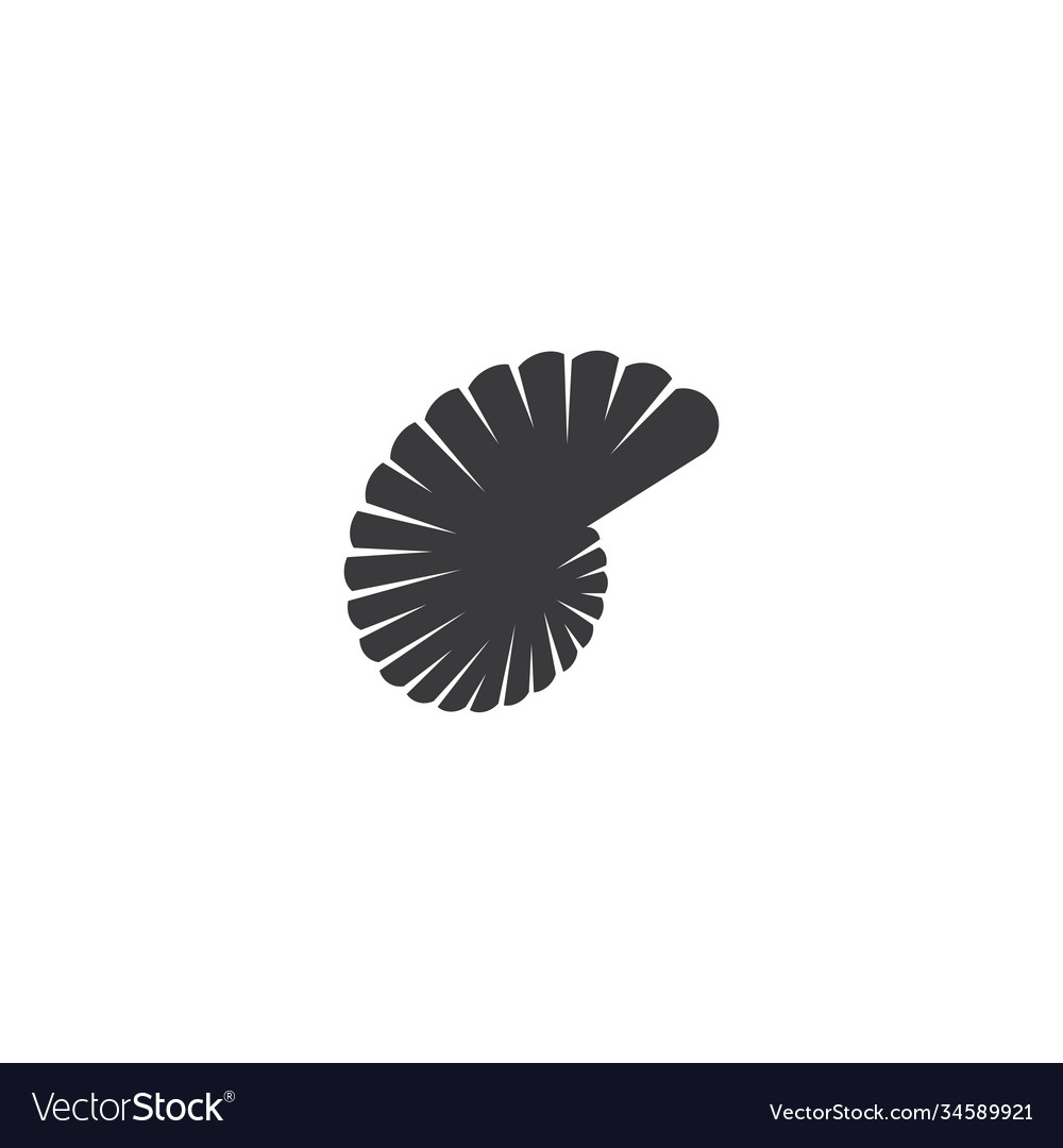 Seashell design