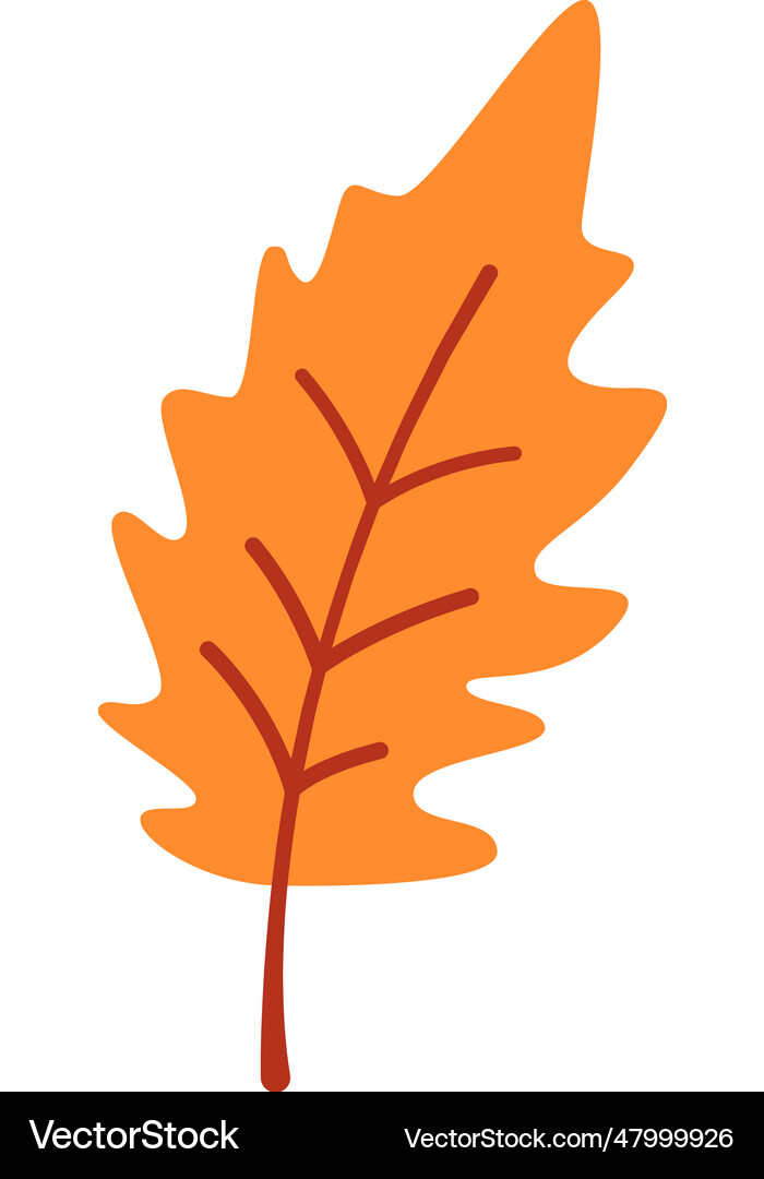 Autumn tree leaf Royalty Free Vector Image - VectorStock