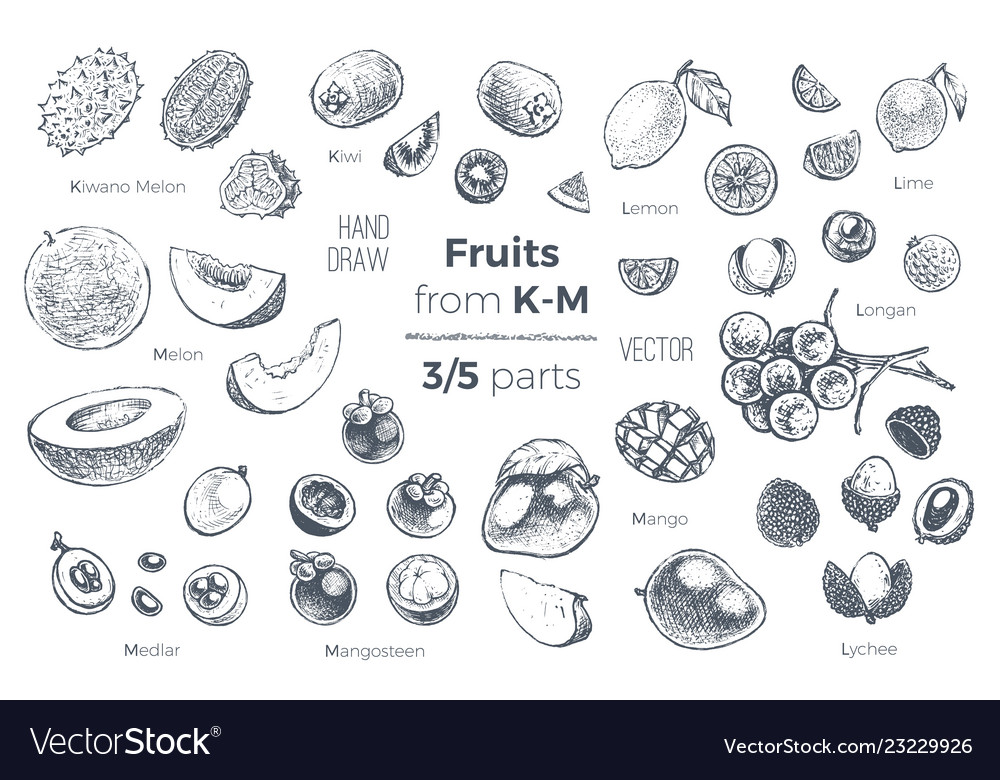 Fruits hand drawn sketch icons set organic food