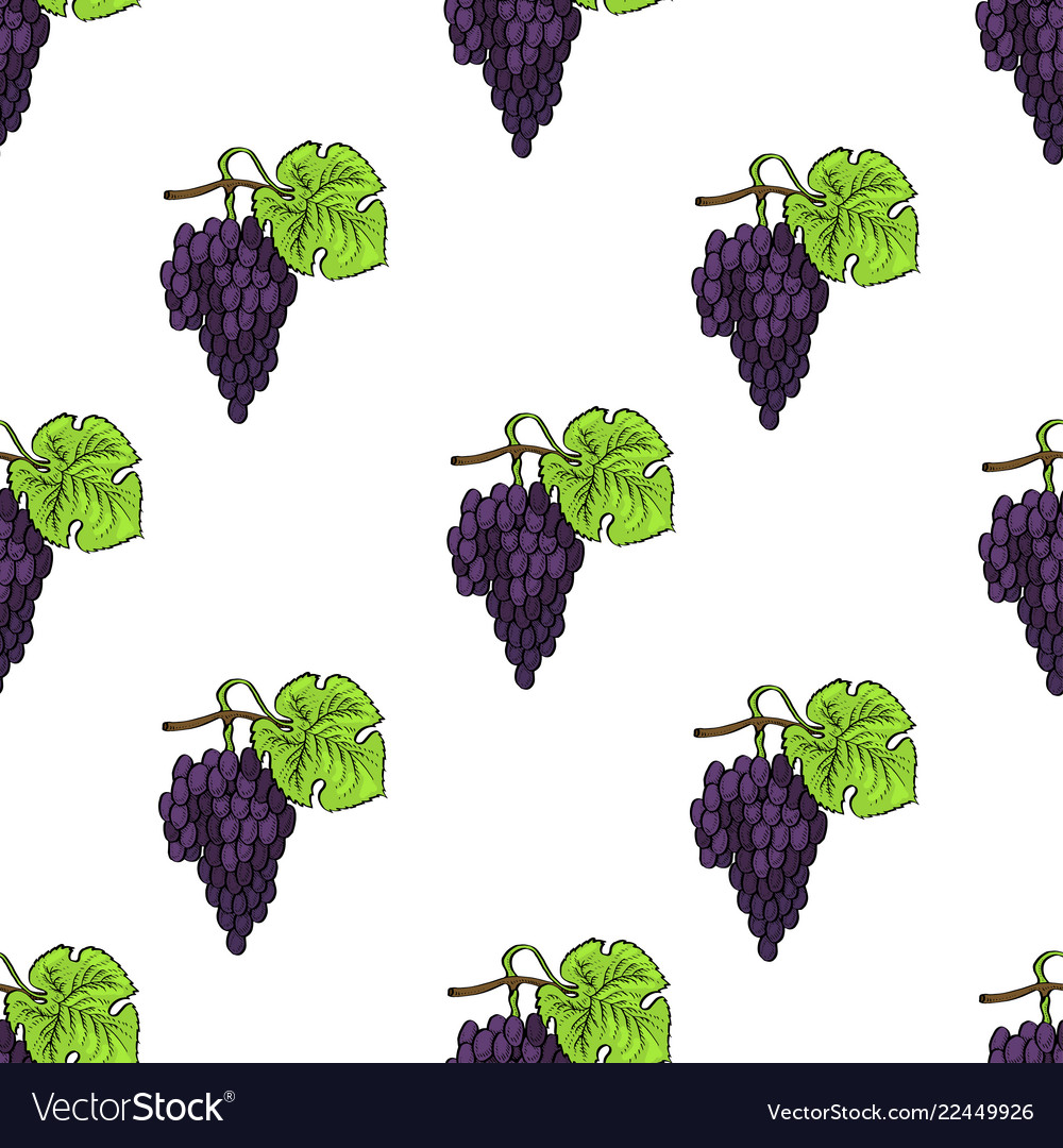 Grape Calligraphy Pattern