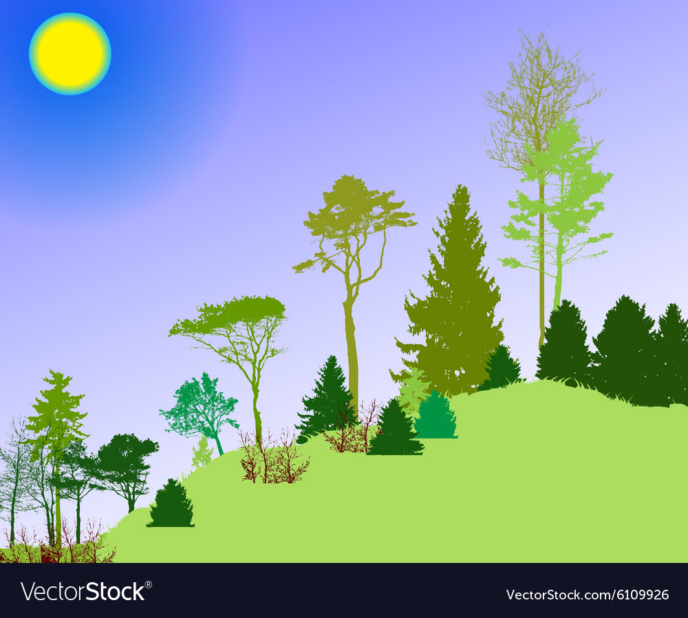 Bild der Natur Baum silhouette eco Banner