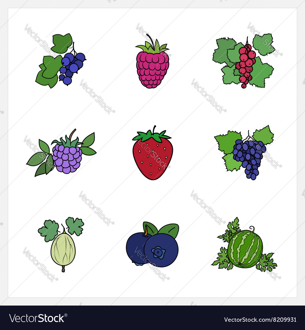 Berry flaches Design