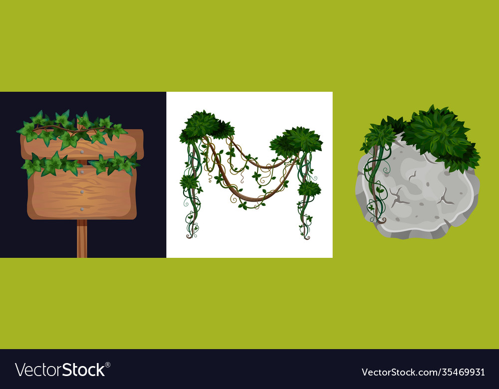 Liana Vine Design Concept Royalty Free Vector Image 9962