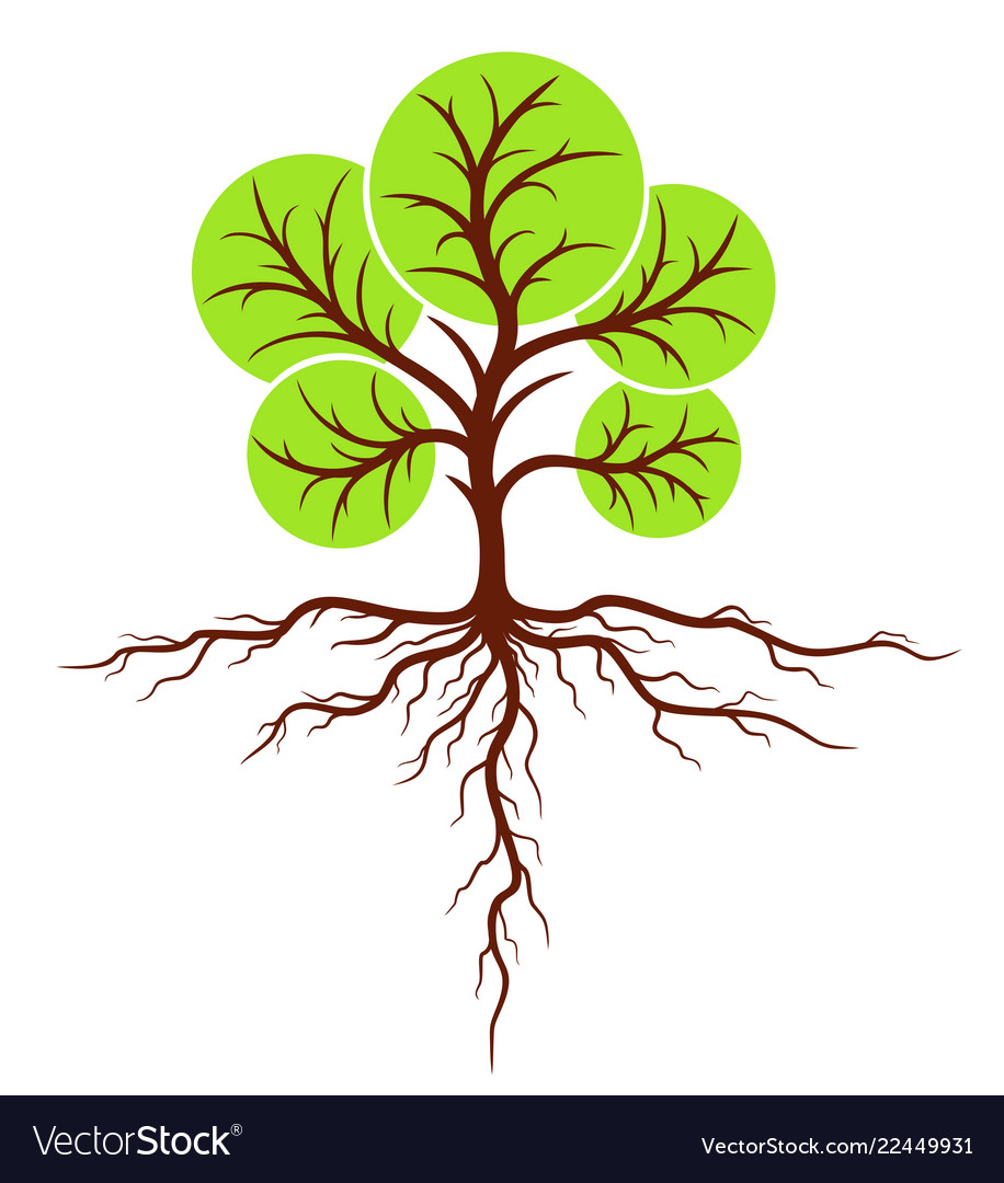 Tree with roots