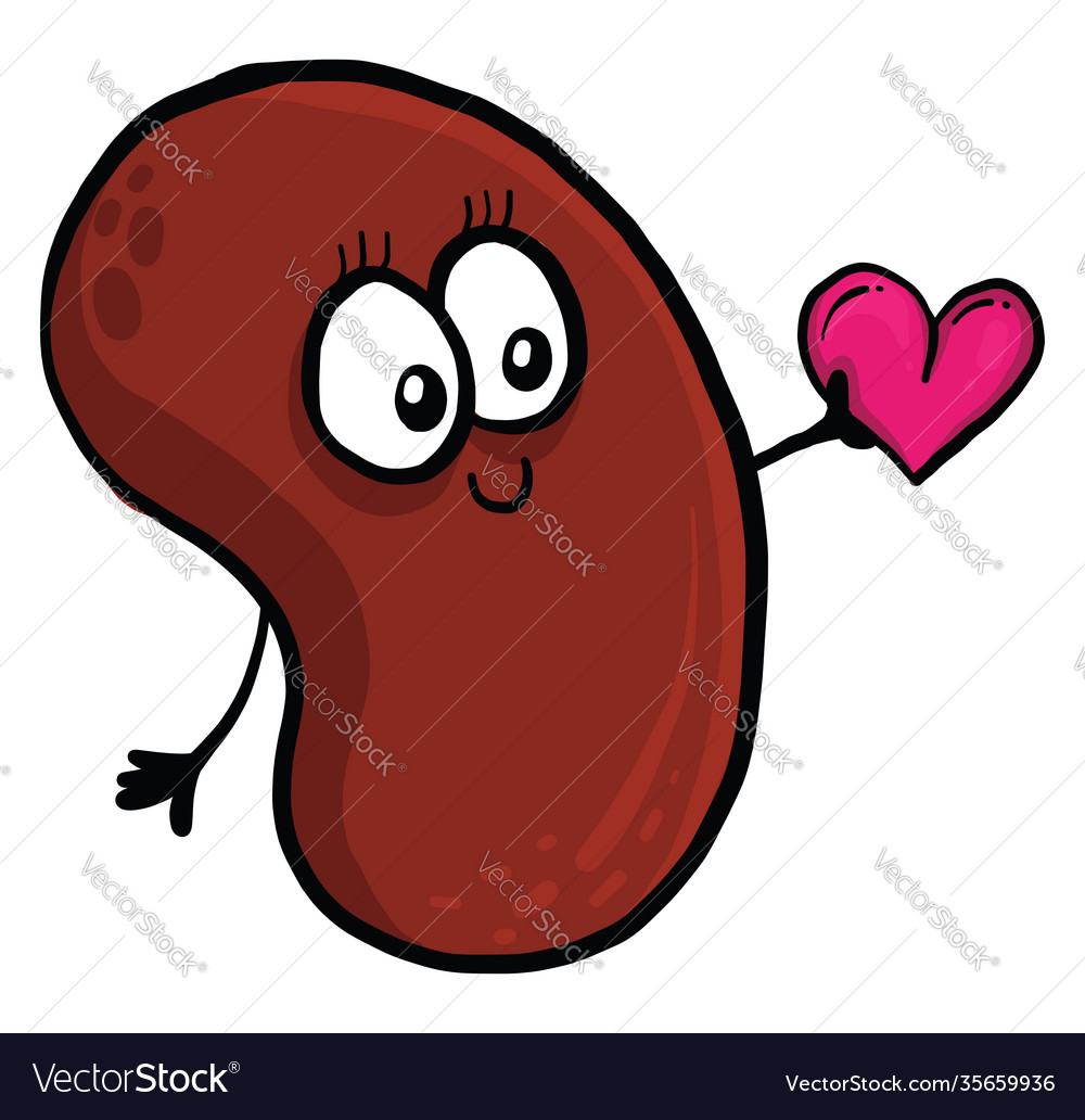 Bean with a heart on white background