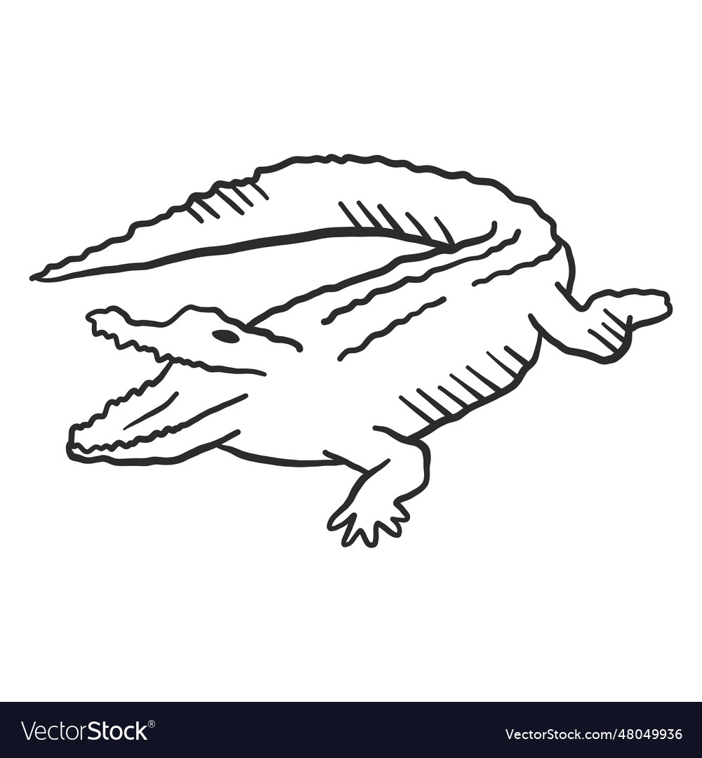 Crocodile alligator jaws tail fang doodle Vector Image