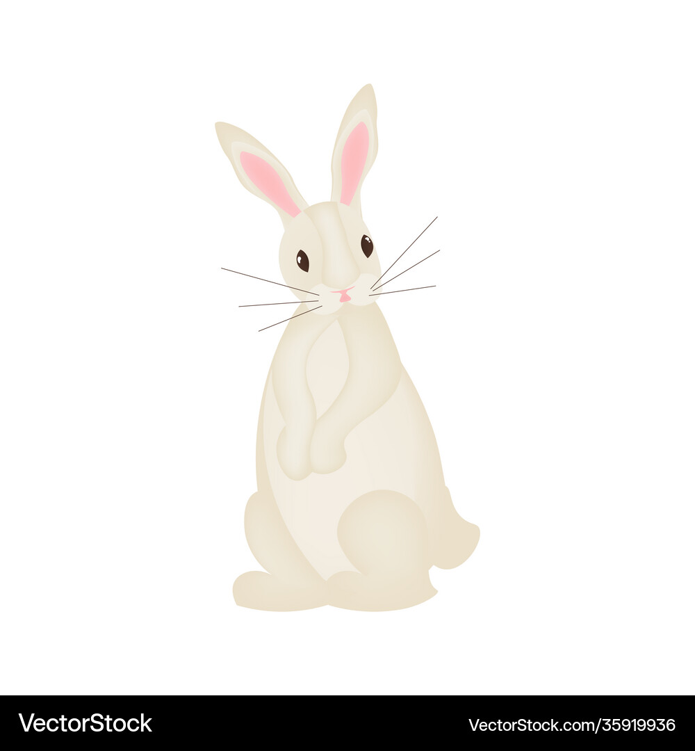 Cute rabbit character Royalty Free Vector Image