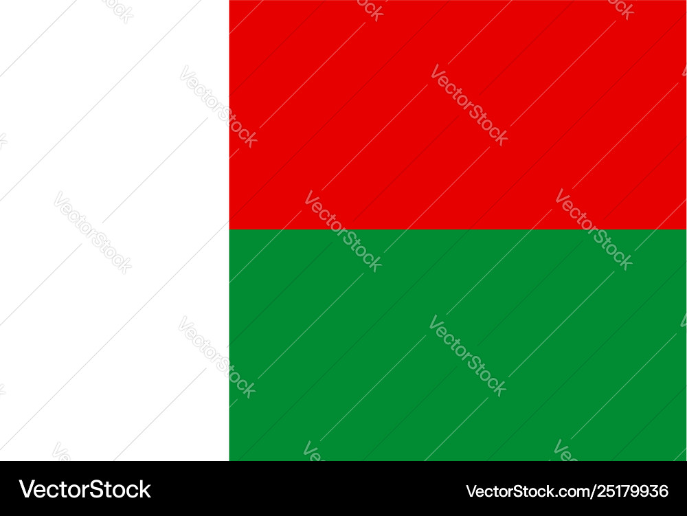 Flag rectangular shape Royalty Free Vector Image